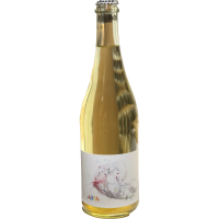 Picture of 1000 Fires