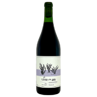 Picture of Lopez Vinyeard